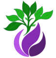 Lumbra – Asociación feminista